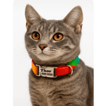 Coleira Anti-Enforcamento para Gatos com metais níquel 