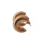  Argola Espiral