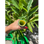 Mangueira Jardim 1 x 3 Siliconada Verde Escolha a Quantidade em Metros