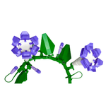 Flores Encantadas de Montar Bloxi- Glória da Manhã (92 peças)