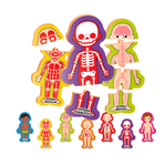 Quebra-cabeça Corpo Humano