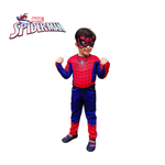 Fantasia Homem Aranha Luxo