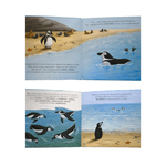 Livro Coleção Eu e Meus Sentimentos: Quando o Pinguim é Rejeitado