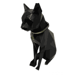 Coleira para gato - brilho Preto