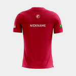 CAMISETA OFICIAL DREAMMAX 2021 - LINHA TORCEDOR (RED)