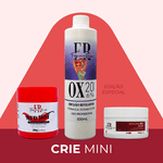 Kit Pó Descolorante Vermelho + Água Oxigenada 500ml + Máscara Matizadora 250g - Crie Mini - Edição Especial by FR 
