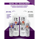 Kit Descoloração By FR - Descolore Colorindo