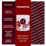 Máscara Framboesa 500g By FR