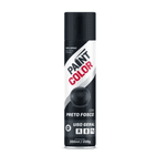 Tinta Paint Color 350ML Uso Geral Preto Fosco 5510106