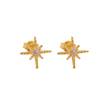 Brinco Astros- banho ouro 18k
