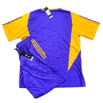 Conjunto Treino Camisa + Short Real Madrid 2023/24 - Roxo/Amarelo