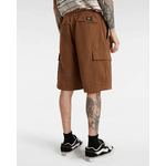 RANGE CARGO LOOSE SHORTS VANS