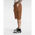 RANGE CARGO LOOSE SHORTS VANS