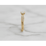 Anel Cosmos 14K Noivado