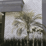 Pedra São Tomé Tipo Exportação Branca - 10 X 10cm