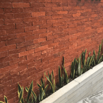 Brick Naturalle