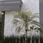 Pedra São Tomé Tipo Exportação Branca - 10 X 10cm