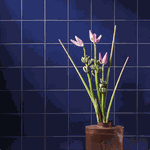 Revestimento 20x20 - Om-15645 Nautico - Atlas