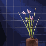 Revestimento 20x20 - Om-15645 Nautico - Atlas