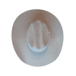 CHAPEU RESISTOL USTRC 6X PELO CASTOR STONE