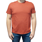 CAMISETA LEVI'S MASCULINA LB0020083