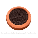 Terra Florestrato Cianex