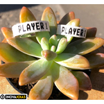 Par de Alianças Gamer de Namoro em Prata 950 - ML04 Diamantada (player)