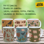 Kit - 6 Canecas Coleção Animais Coloridas