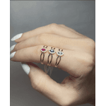 Anel de Formatura Parauapebas