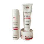 KIT OJON REPAIR DAMAGE KASI 