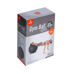 Bola Suiça Pilates Yoga Ginastica 65 Cm + Dvd Grátis