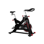 Bicicleta Spinning Embreex 315