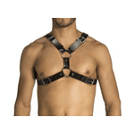 Harness em Formato X