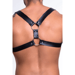 Harness em Formato X