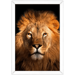 Leão 06- Quadro com Moldura - Preto, Marrom, Rústica ou Branco 