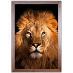 Leão 06- Quadro com Moldura - Preto, Marrom, Rústica ou Branco 