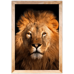 Leão 06- Quadro com Moldura - Preto, Marrom, Rústica ou Branco 