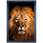 Leão 06- Quadro com Moldura - Preto, Marrom, Rústica ou Branco 