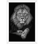 Leão 07- Quadro com Moldura - Preto, Marrom, Rústica ou Branco 