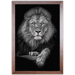 Leão 07- Quadro com Moldura - Preto, Marrom, Rústica ou Branco 