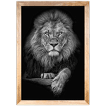 Leão 07- Quadro com Moldura - Preto, Marrom, Rústica ou Branco 