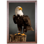 Aguia 01 - Quadro com Moldura - Preto, Marrom, Rústica ou Branca