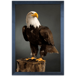 Aguia 01 - Quadro com Moldura - Preto, Marrom, Rústica ou Branca