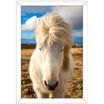 Cavalo 01 - Quadro com Moldura - Preto, Marrom, Rústica ou Branco