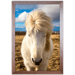 Cavalo 01 - Quadro com Moldura - Preto, Marrom, Rústica ou Branco