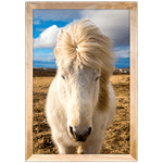 Cavalo 01 - Quadro com Moldura - Preto, Marrom, Rústica ou Branco