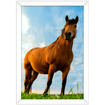 Cavalo 02 - Quadro com Moldura - Preto, Marrom, Rústica ou Branco