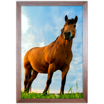 Cavalo 02 - Quadro com Moldura - Preto, Marrom, Rústica ou Branco