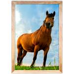 Cavalo 02 - Quadro com Moldura - Preto, Marrom, Rústica ou Branco