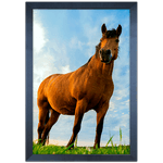 Cavalo 02 - Quadro com Moldura - Preto, Marrom, Rústica ou Branco